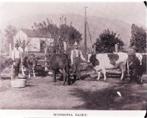 Monrovia Dairy